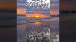 Песня ЧТОБ БЫЛ ДУХОВНЫЙ РОСТ