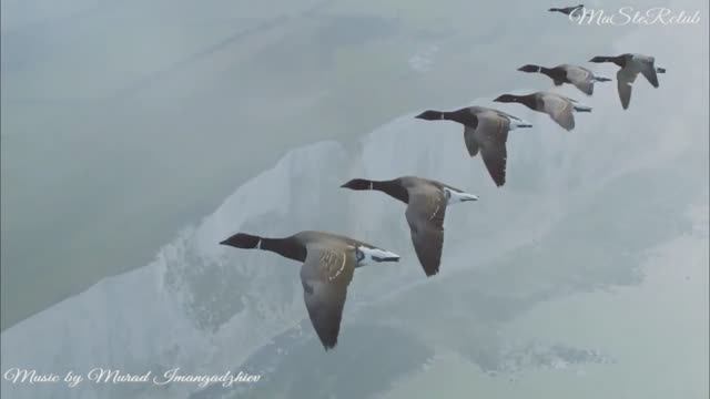 ImangadJiev - Седая осень