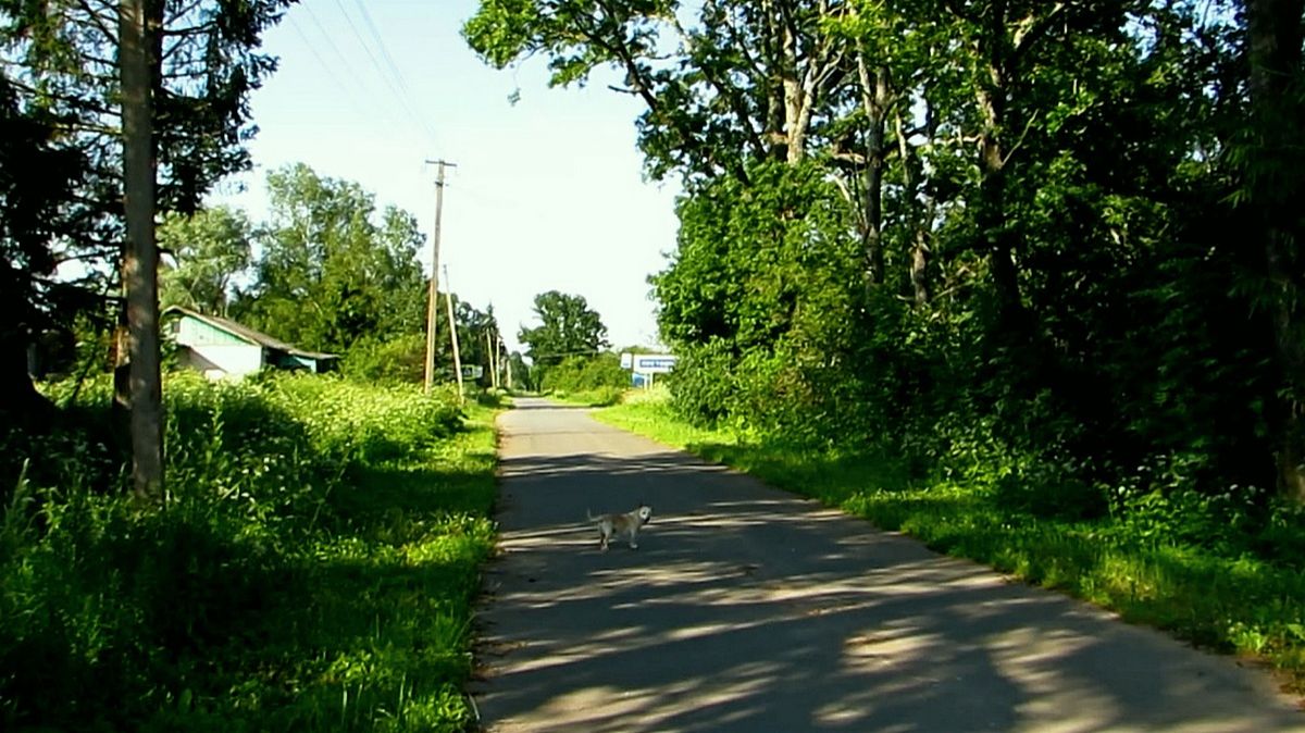 Деревня не спит... смотреть онлайн