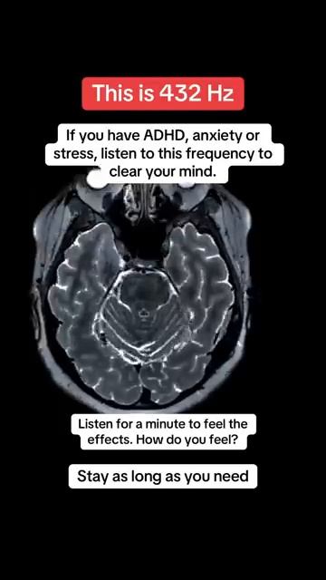 17-12-2025 смотреть онлайн