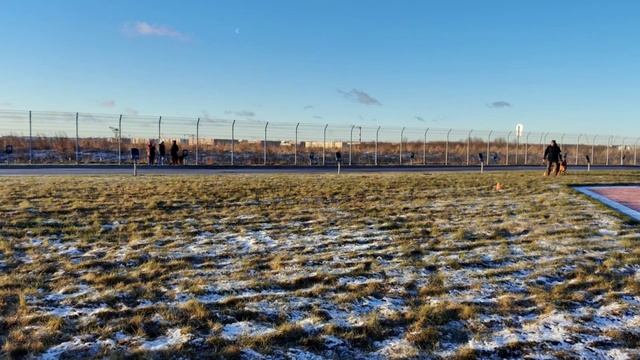 3 Отл. BLADE v. Team Panoniansee №22. САНКТ-ПЕТЕРБУРГ 12 декабря`25 Моно немецких овчарок смотреть онлайн