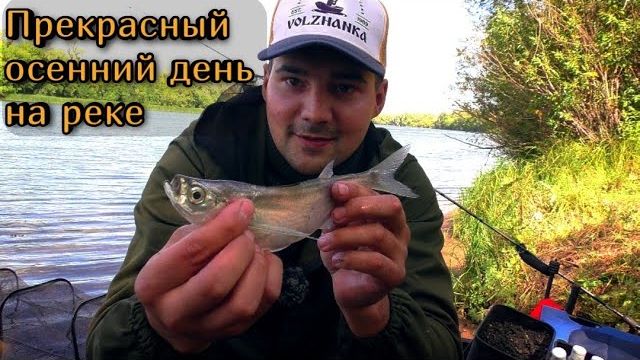 С фидером в сентябре на реке! Ловля разнорыбицы и чехони тоже.