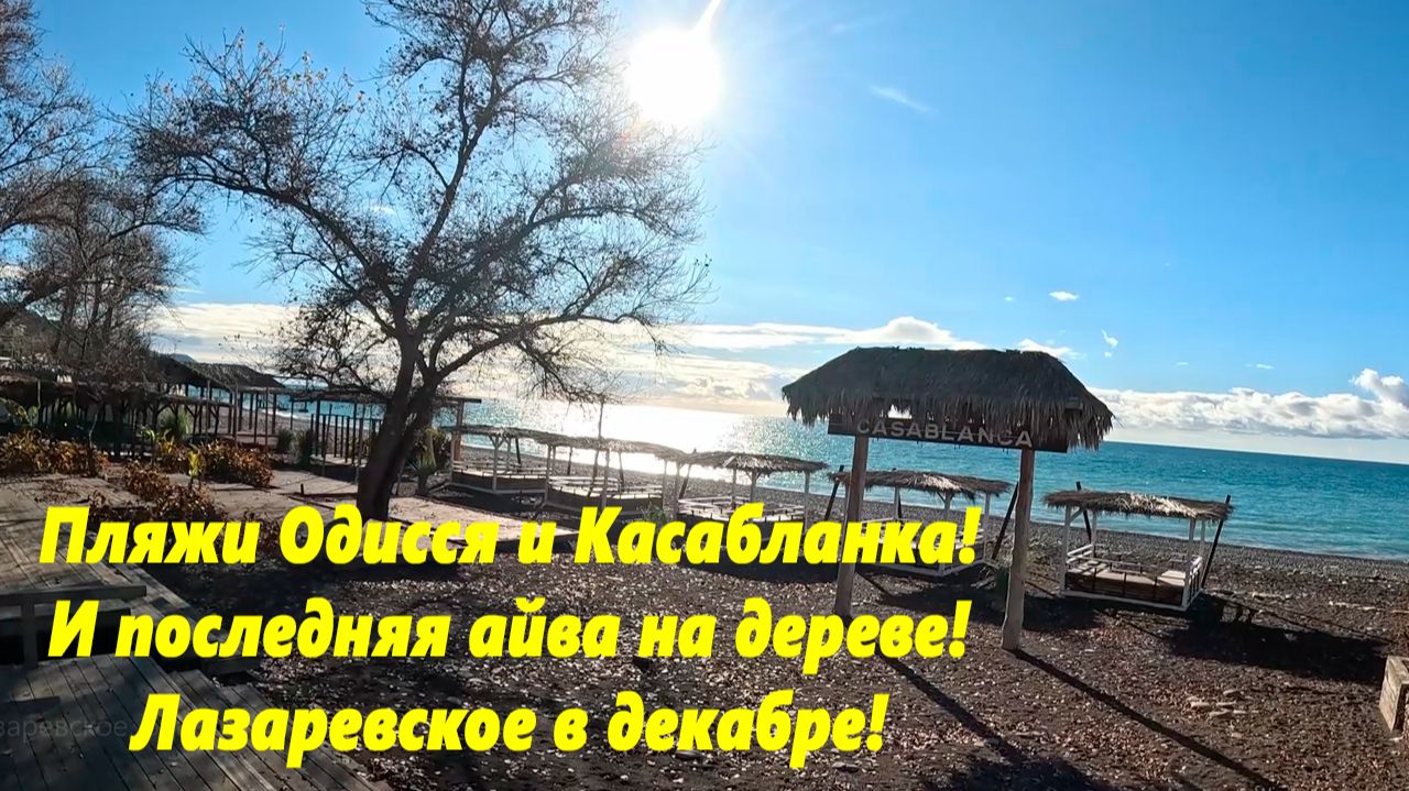 Пляжи Одиссея и Касабланка! Последняя на дереве айва! Лазаревское в декабре . смотреть онлайн