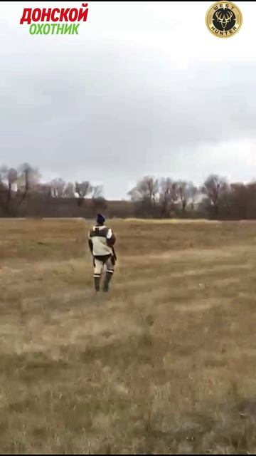 Охота на Зайца - когда косой глаз - охотник Зайцу не страшен смотреть онлайн