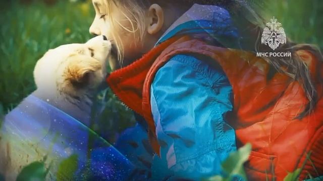 VIDEO-2025-12-11-13-51-47