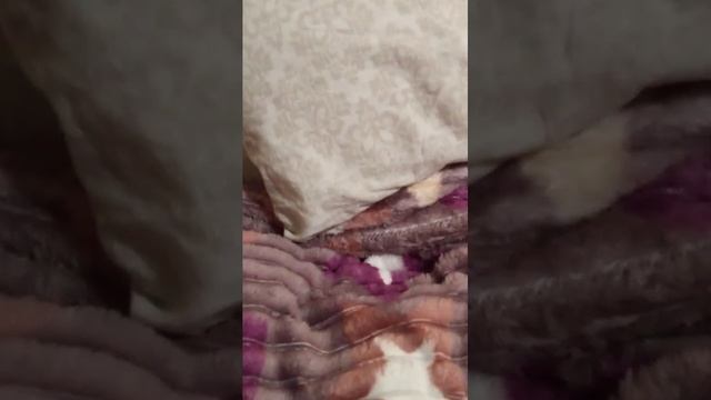 просто эфир смотреть онлайн