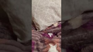 просто эфир