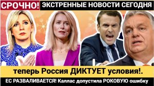 ЕС РАЗВАЛИВАЕТСЯ! Каллас допустила РОКОВУЮ ошибку — теперь Россия ДИКТУЕТ условия!