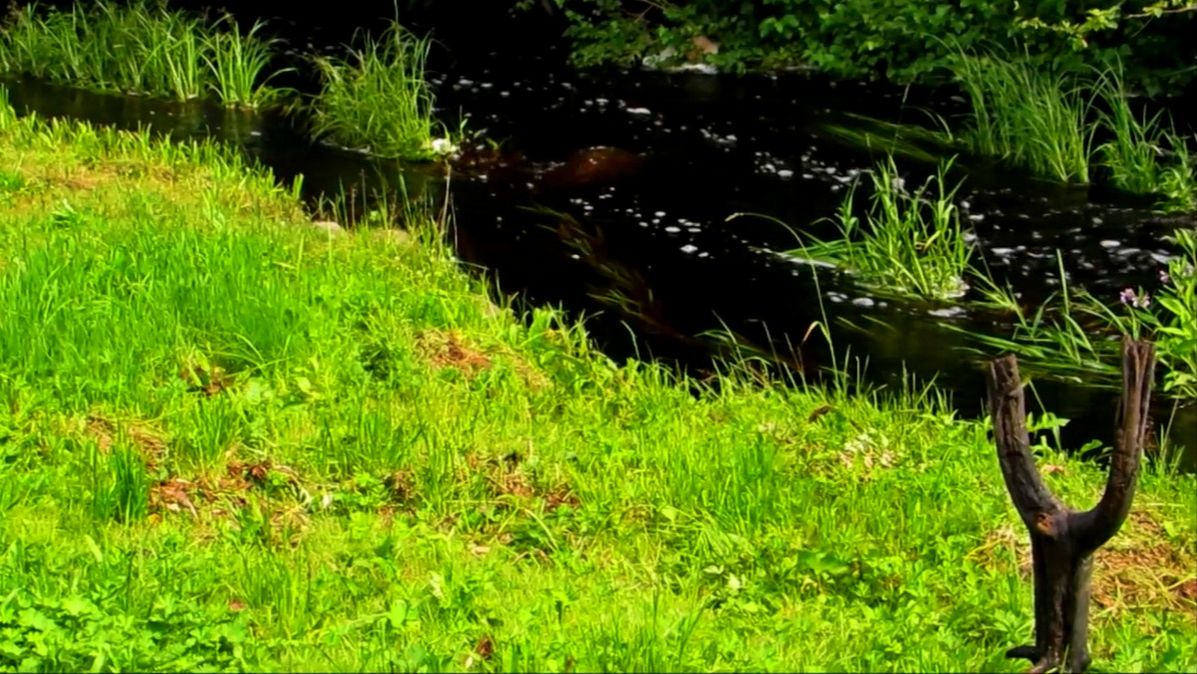 Мистическое... смотреть онлайн