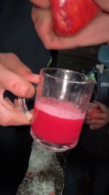 Свежевыжатый гранатовый сок