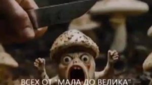 Песенка грибников