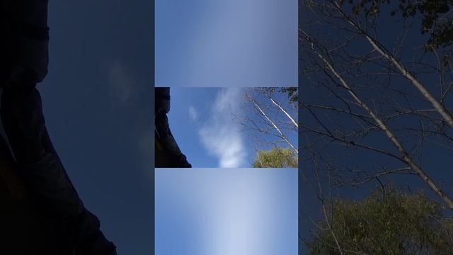 шаманский блюз.mp4