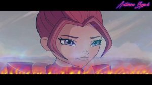 Specialists & Paladins - Your Idol