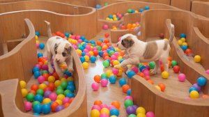 ВИДЕО ДЛЯ ДЕТЕЙ