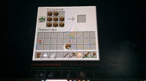 играю в Minecraft выживание