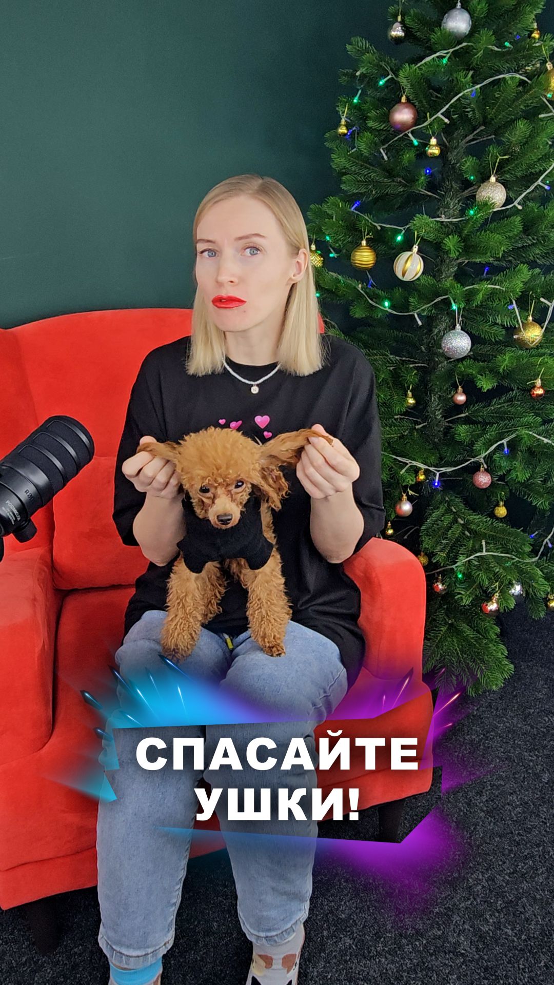 Не самая приятная процедура #животные смотреть онлайн