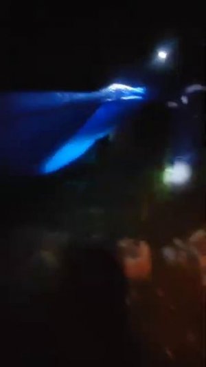 Трудности Сплава Тайга Дождь Костёр Сибирь Рыбалка Охота Река Рудиковка 2025