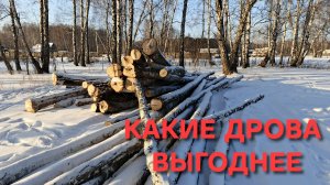 Жизнь в деревне Какие дрова выгоднее покупать Совет от сельского жителя