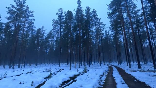 Охота на зайца 06.12.2025 смотреть онлайн