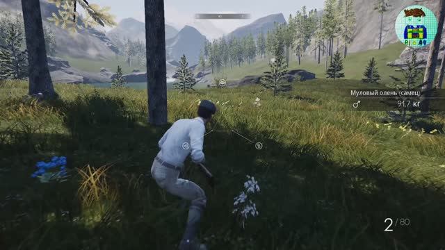 1 Hunting Simulator. Прохожу видеоигру.