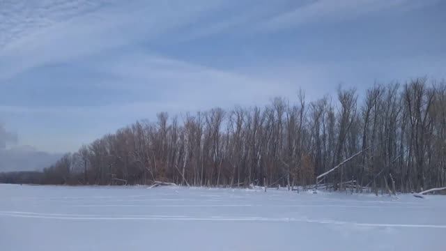 Радуемся поклёвкам ! Рыбка бастует !