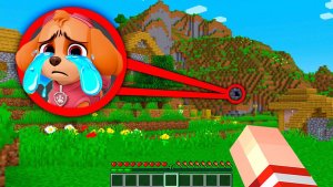 😳Я НАШЛА СЕКРЕТНУЮ БАЗУ СКАЙ ЩЕНЯЧИЙ ПАТРУЛЬ В МАЙНКРАФТ  PAW PATROL МУЛЬТИК