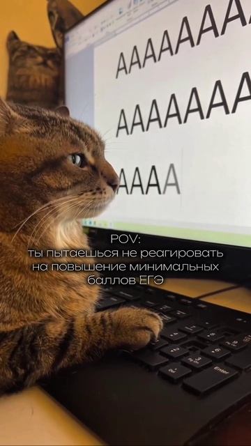 Мы не плачем, это просто слезы... 🥺 Минобрнауки России утвердило минимальные баллы ЕГЭ смотреть онлайн