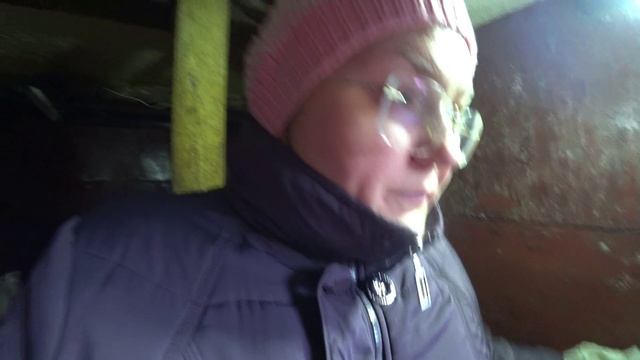 Влог от 25.11.2021 смотреть онлайн