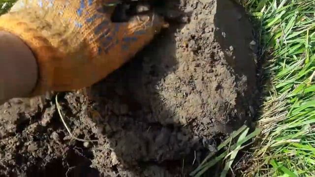 И вновь за ранними советами. Коп 2019.