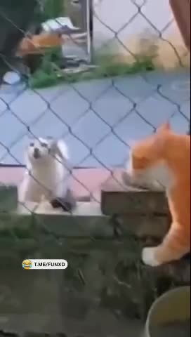 Вот и поговорили😅 смотреть онлайн