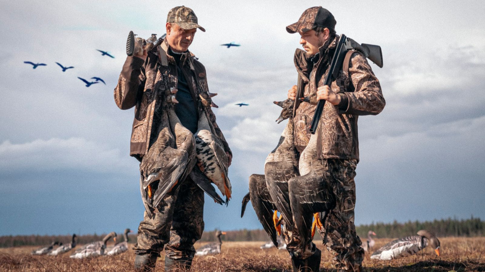 Архангельск 2025 охота на гуся смотреть онлайн