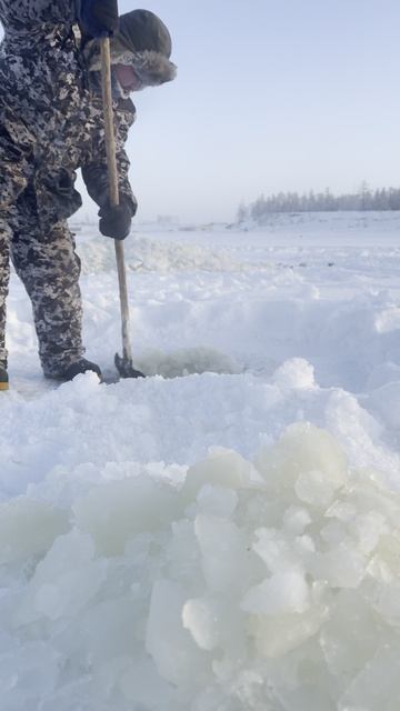 Водопой коров в -50С