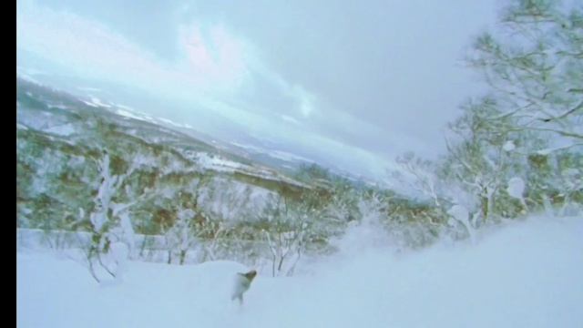 Сноуборд в Японии.mp4 смотреть онлайн
