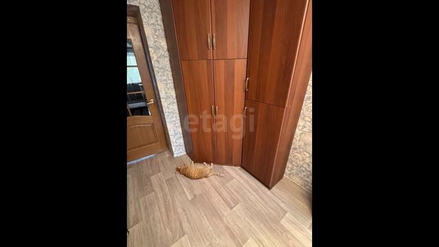 10500055 смотреть онлайн