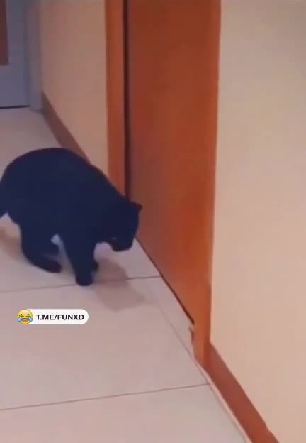 А как, а где?😁 смотреть онлайн