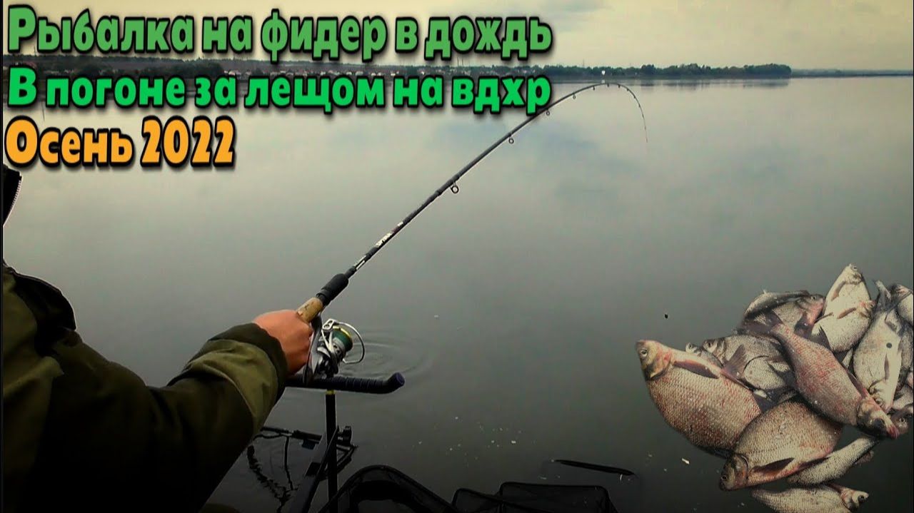 Рыбалка на фидер в дождь ! Погоня за лещом продолжается ! Осень2022
