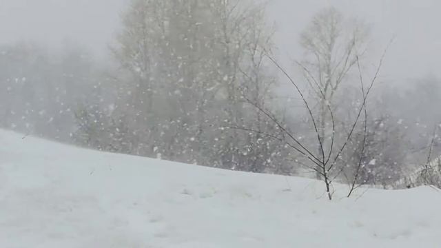 РЫБАЛКА 2022 В СИЛЬНЫЙ СНЕГОПАД И ВЕТЕР .