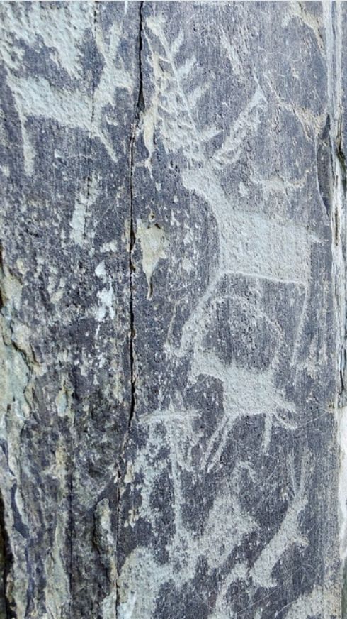 Петроглифы Археологического комплекса Адыр-Кан 16 часть Экспедиция в Монголию (15.04.2025) смотреть онлайн