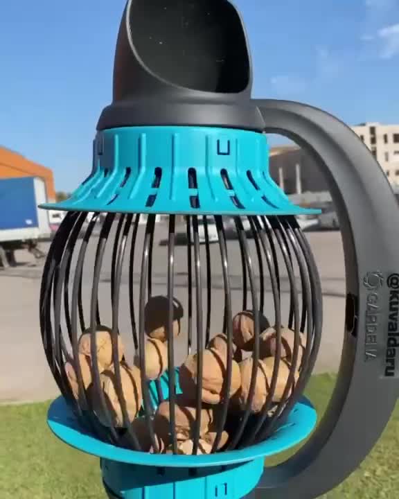 Легко собирать орешки. смотреть онлайн