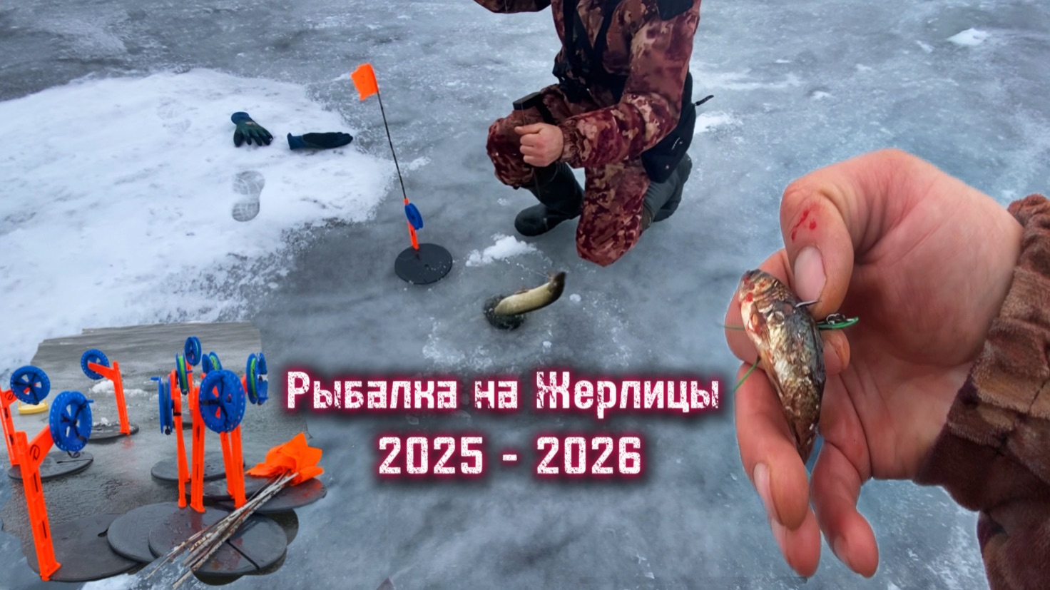 Первая РЫБАЛКА на ЖЕРЛИЦЫ! Сезон 2025 - 2026 по ЩУКЕ ОТКРЫТ!! смотреть онлайн