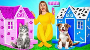 Секретные домики для животных