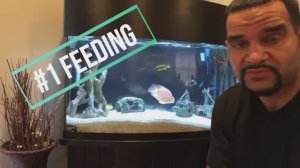 ИДЕАЛЬНО ПРОЗРАЧНАЯ ВОДА в аквариуме 3 ПРОСТЫХ правила