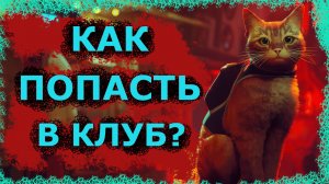Stray: КАК ПОПАСТЬ В КЛУБ?