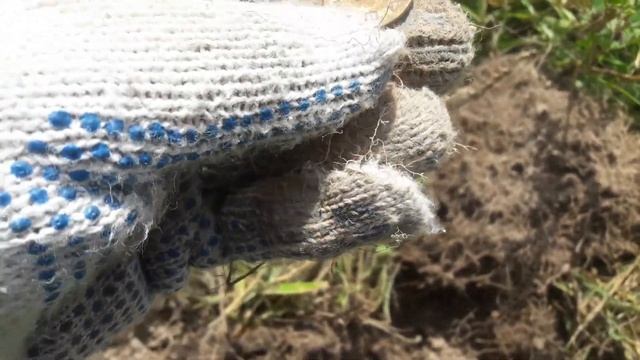 КОП 2020. Старая деревня, сплав и немного старины.