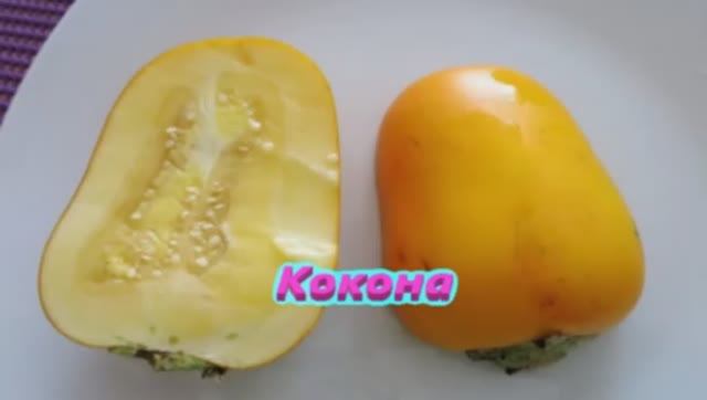 Фрукт Кокона