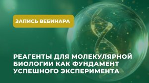 Реагенты для молекулярной биологии как фундамент успешного эксперимента