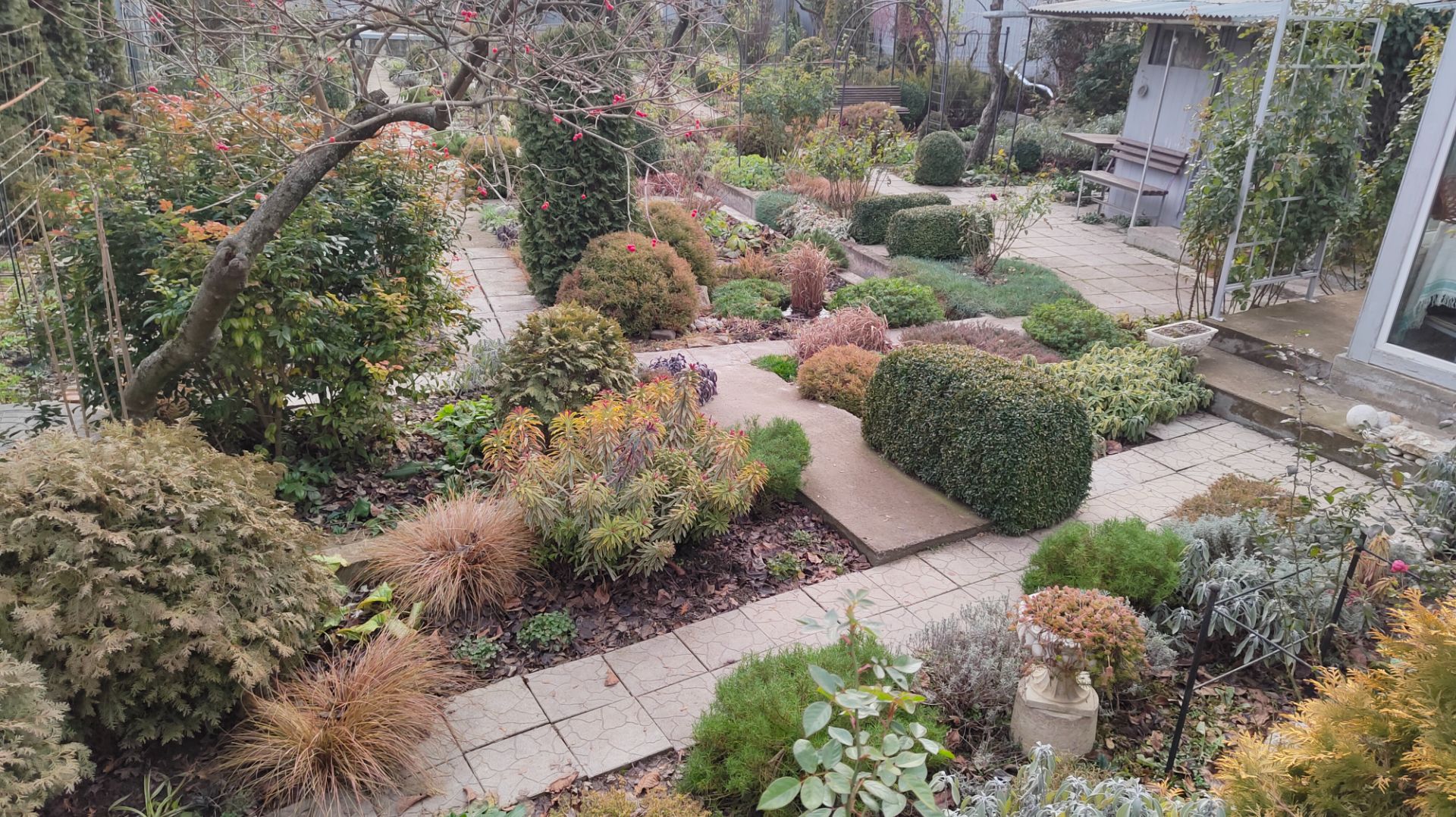 Вид на сад с высоты и как зимуют мои небольшие прудики 17.12.2025 г. Пятигорск. смотреть онлайн