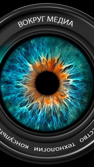 Музыкальное. Снежинки на эквалайзере.