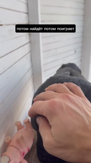 Почему кора в вольере? смотреть онлайн