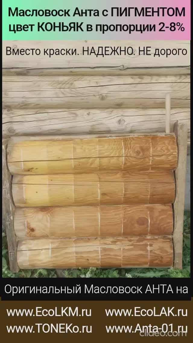 Цветной Масловоск Анта с пигментом КОНЬЯК для обработки срубов домов и бань внутри и снаружи. смотреть онлайн